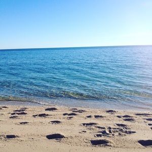 Meet your Posher, Ty